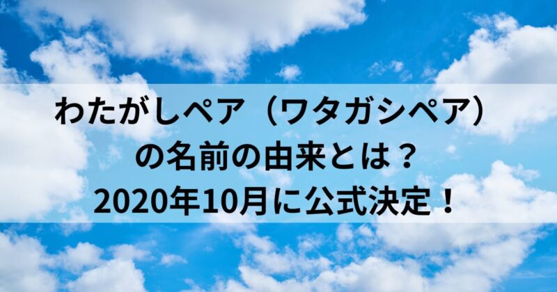 わたがしペア（ワタガシペア）の名前の由来とは？2020年10月に公式決定！