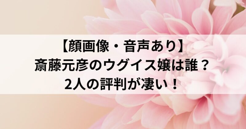 【顔画像・音声あり】斎藤元彦のウグイス嬢は誰？2人の評判が凄い！