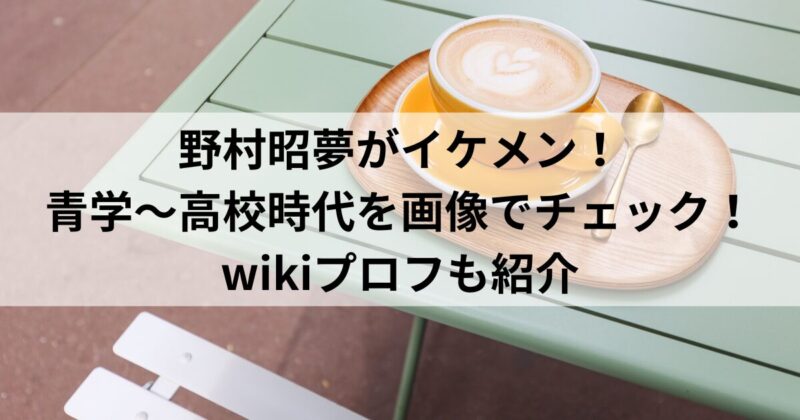 野村昭夢がイケメン！青学～高校時代を画像でチェック！wikiプロフも紹介